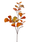 Autumnal Eucalyptus Spray Orange - PACK% 