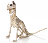 Sitting Skeleton Cat - 48cm 