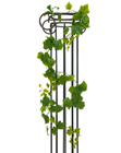 Grape Vine Garland - 180cm 