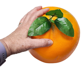 Fake Giant Orange - Slight Second 