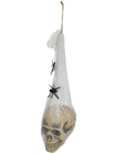 Halloween Skull in Spiders Web 