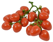 Baby Plum Tomato Truss 