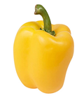 Realistic Yellow Pepper 