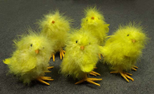 Yellow Chick - Pk.5 