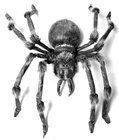Monster Spider 