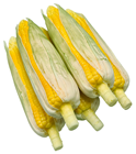 Fake Corn-on-the-Cob in Husk 