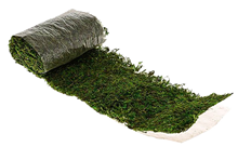 Moss Roll - 100 x 16cm 