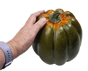 Autumnal Green Pumpkin - 15 x 18cm 