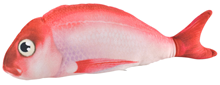 Plush Red Herring