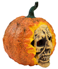 Halloween Skull Pumpkin 