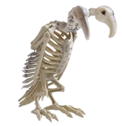 Two-Headed Vulture Skeleton 