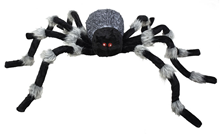 Giant Halloween Spider