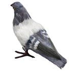 Lifelike Pigeon with Feathers 