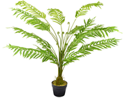 Fern Tree in Pot - 130cm 