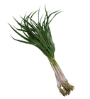 Spring Onion Bunch 