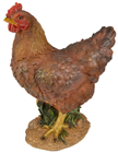 Standing Summer Hen 