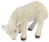 Standing White Lamb 