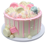 Pastel Decorated Party Cake 