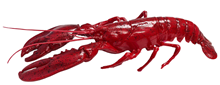 Plastic Lobster - 50cm 