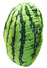 Giant Plush Watermelon 