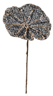 Decorative Black Leaf 