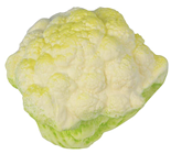 Plastic Cauliflower 