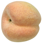 Lifelike Luxury Peach - Weighted 