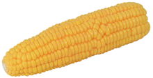 Corn-on-the-Cob 