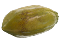 Artificial Cocoa Pod - Green 