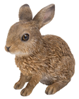 Baby Hare - Leveret 