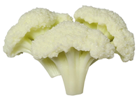 Artificial Cauliflower Florets 