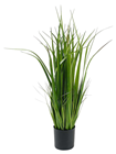 Natural Grass - 80cm 