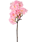 Pink Cherry Blossom Branch 