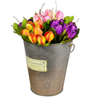 Tulip Bouquet - Purple 