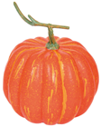 Large Round Orange Pumpkin 