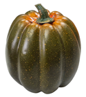 Autumnal Green Pumpkin - 15 x 18cm 