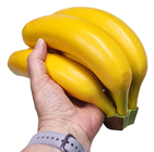 Bunch of Bananas 