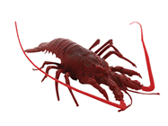 Mediterranean Replica Lobster - 33cm x%2 