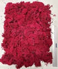 Reindeer Moss - Red 