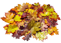 Flexible Autumn Leaves - Pk.118 