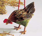 PECKING HEN - LENGTH 36CM 