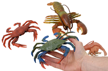 Crab, Lobster and Prawn Set 
