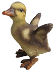 Standing Duckling 