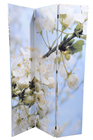 Blossom Canvas Screen - 120 x 180cm