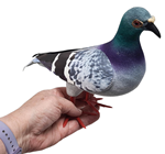 Realistic Foam Pigeon 