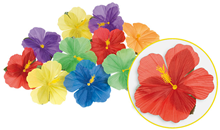 Hibiscus Flowers - Pk.24 