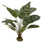 Artificial Calathea Plant on Base 