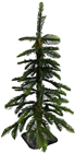 Alpine Tree - 45cm 