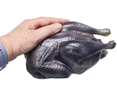 Black Skinned ''Silkie'' Chicken 