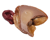 Fake Goose Offal - Heart & Liver 